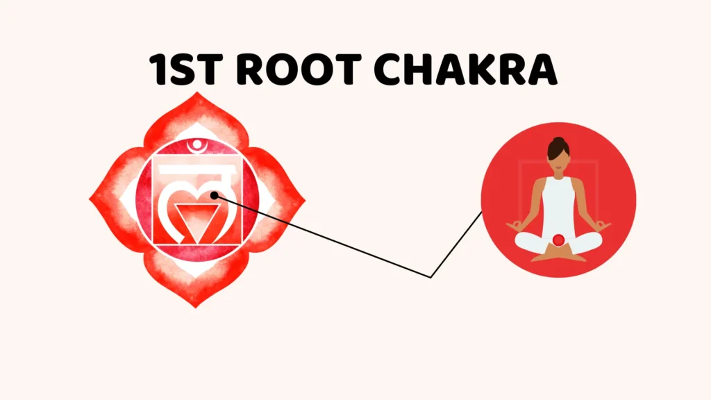 1st- Root Chakra