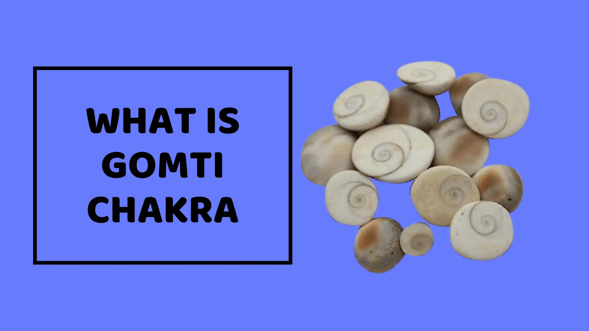 What Is Gomti Chakra