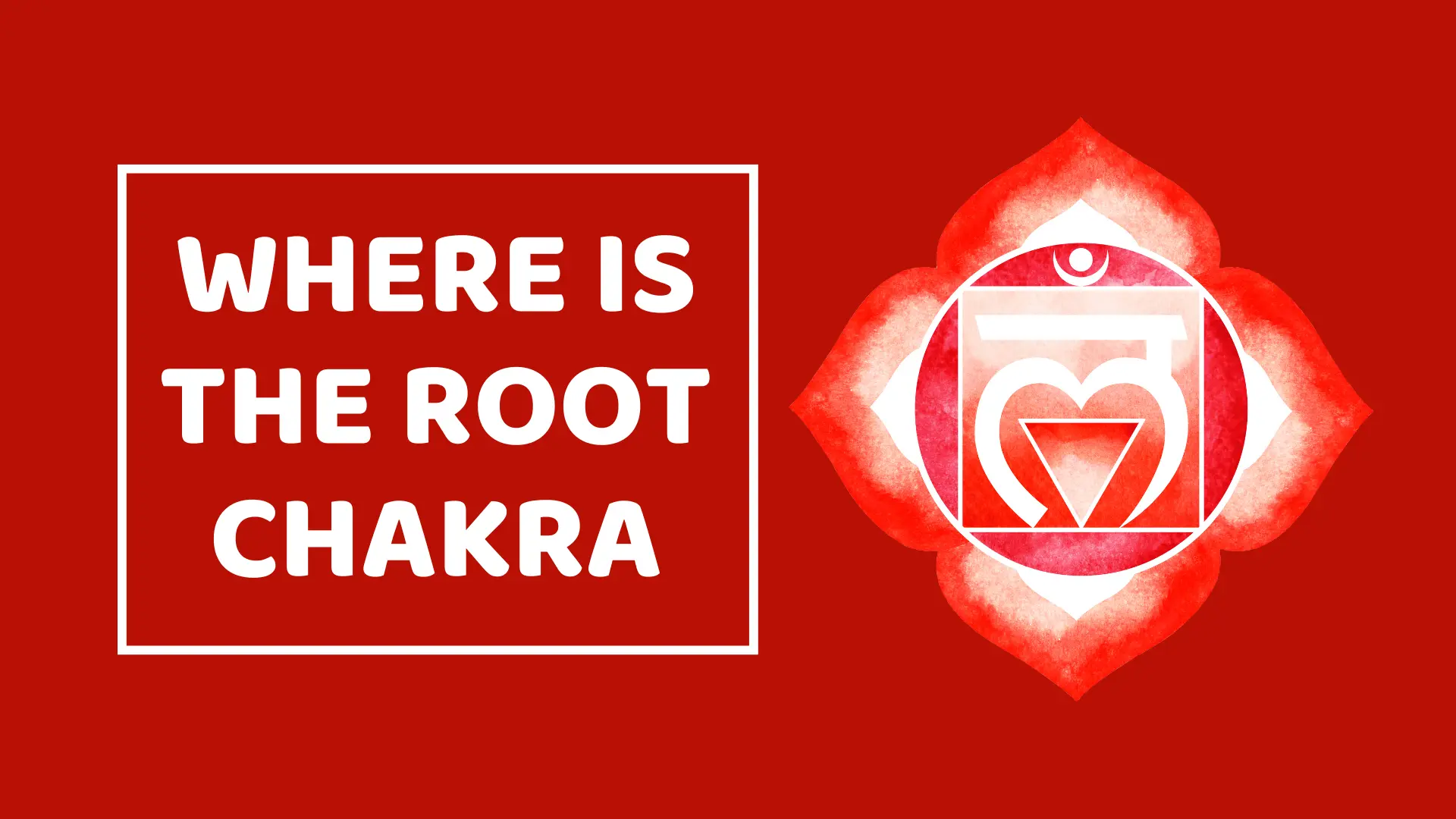 Where Is The Root Chakra