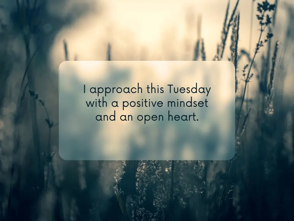 I approach this Tuesday with a positive mindset and an open heart